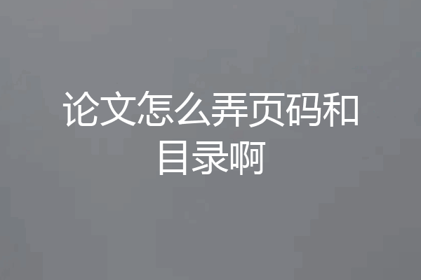 论文怎么弄页码和目录啊