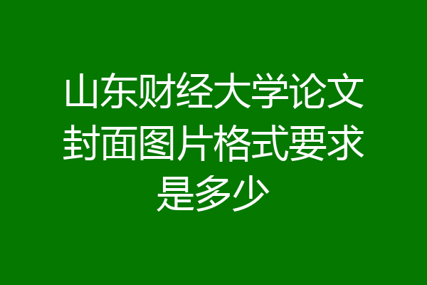 山东财经大学论文封面图片格式要求是多少