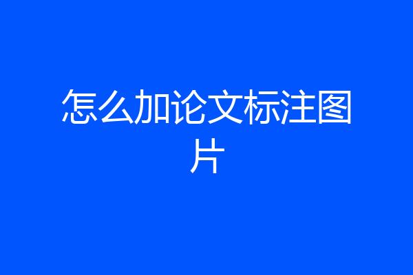 怎么加论文标注图片
