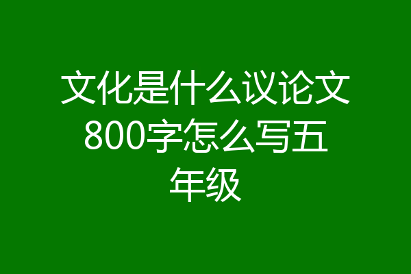 文化是什么议论文800字怎么写五年级