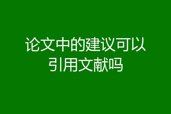 论文中的建议可以引用文献吗