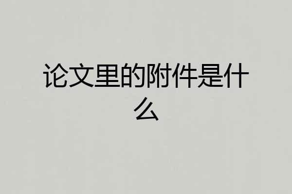论文里的附件是什么