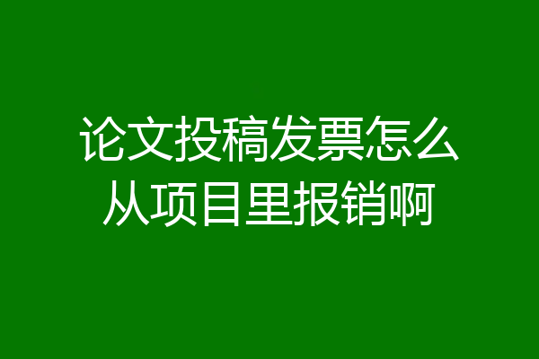 论文投稿发票怎么从项目里报销啊
