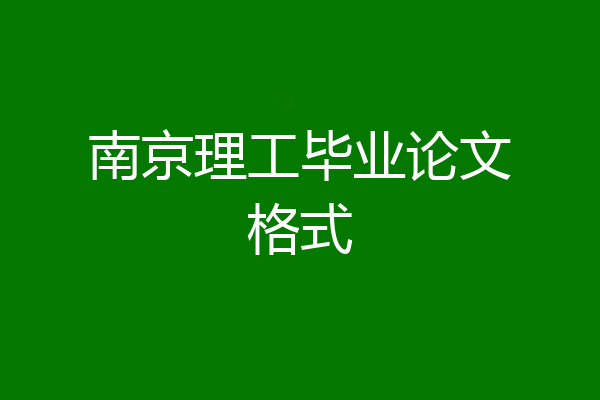 南京理工毕业论文格式