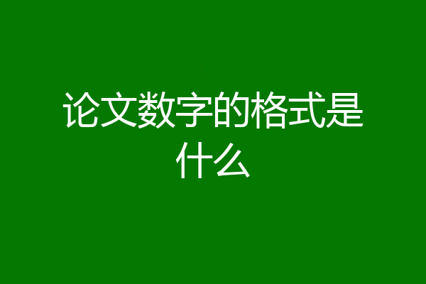 论文数字的格式是什么