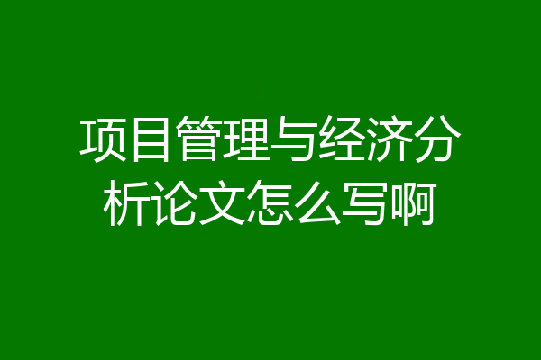 项目管理与经济分析论文怎么写啊