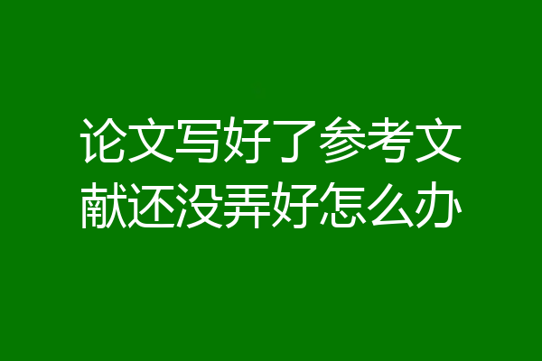 论文写好了参考文献还没弄好怎么办