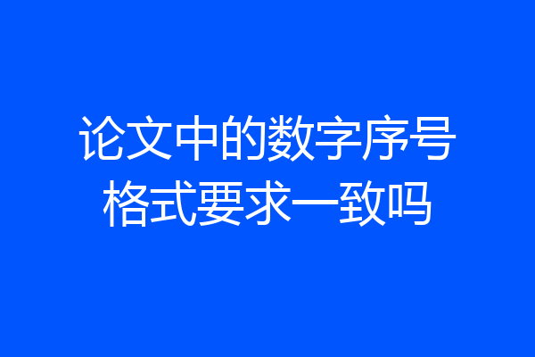论文中的数字序号格式要求一致吗