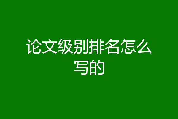 论文级别排名怎么写的