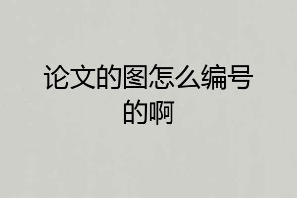 论文的图怎么编号的啊