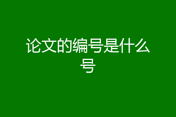 论文的编号是什么号
