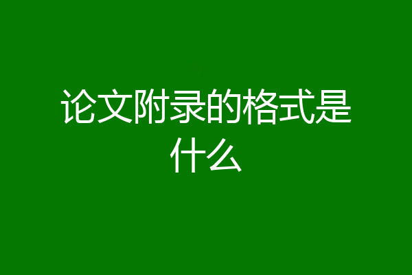 论文附录的格式是什么