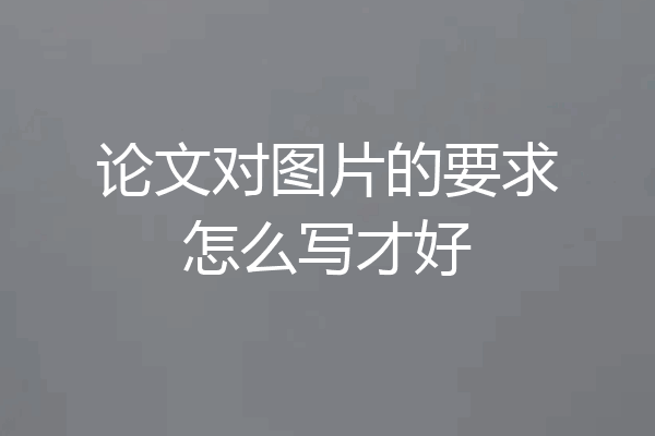 论文对图片的要求怎么写才好
