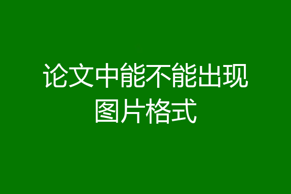 论文中能不能出现图片格式