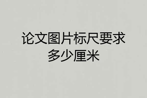 论文图片标尺要求多少厘米