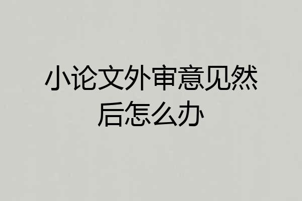 小论文外审意见然后怎么办
