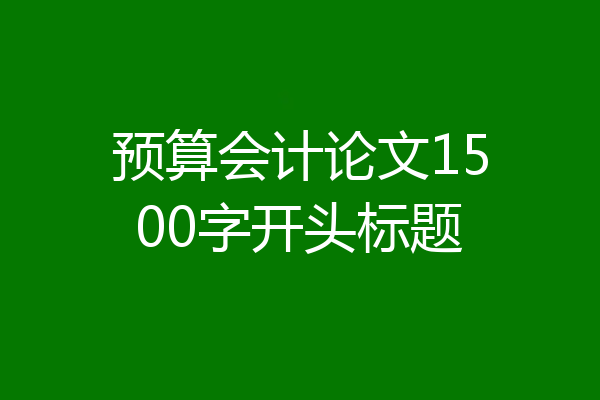 预算会计论文1500字开头标题