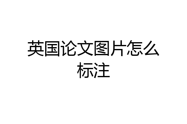 英国论文图片怎么标注