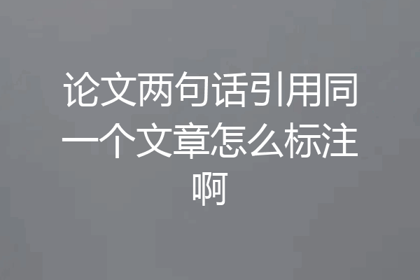论文两句话引用同一个文章怎么标注啊