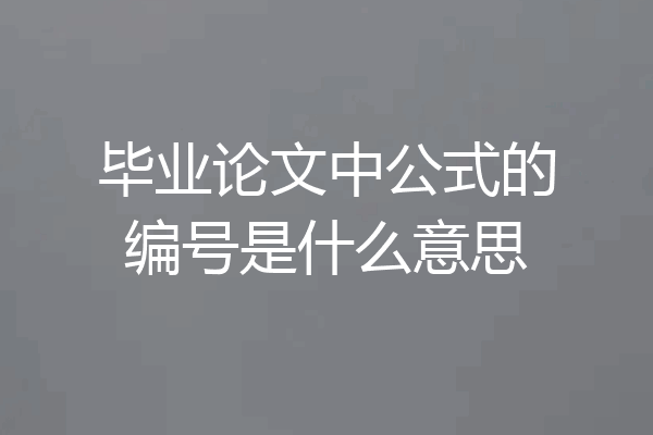 毕业论文中公式的编号是什么意思