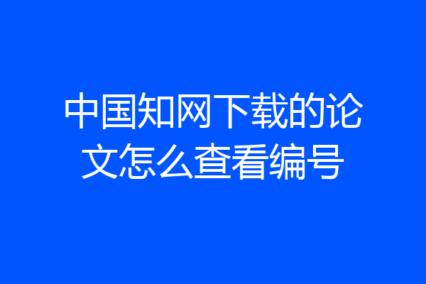 中国知网下载的论文怎么查看编号