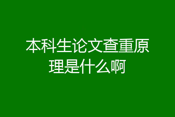 本科生论文查重原理是什么啊
