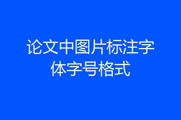 论文中图片标注字体字号格式