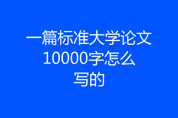 一篇标准大学论文10000字怎么写的