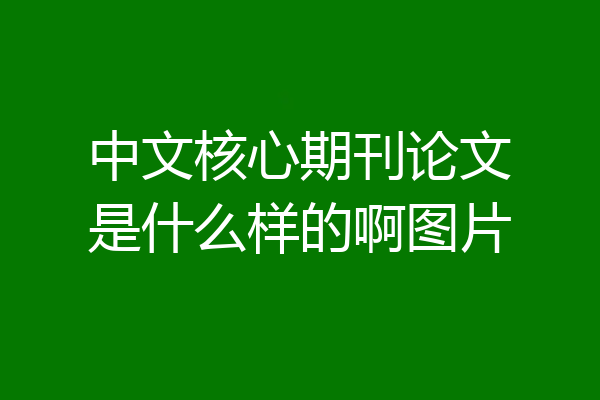 中文核心期刊论文是什么样的啊图片