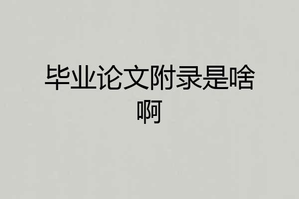 毕业论文附录是啥啊