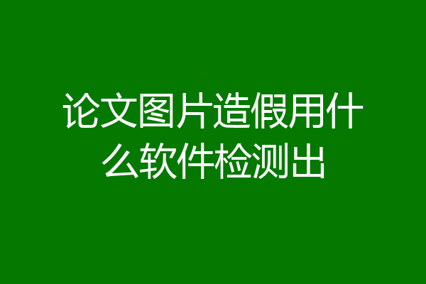 论文图片造假用什么软件检测出