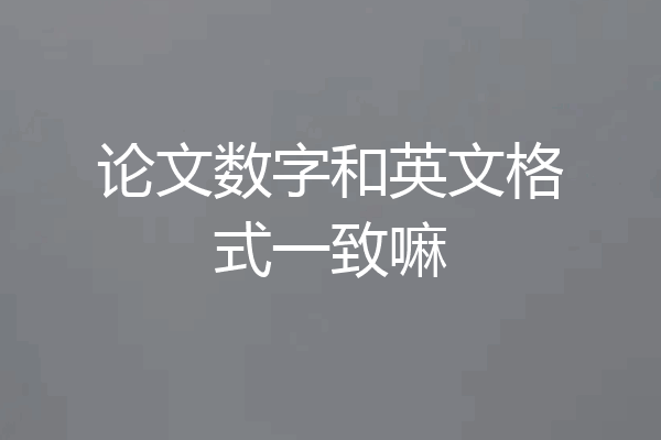 论文数字和英文格式一致嘛
