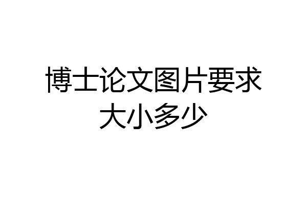 博士论文图片要求大小多少