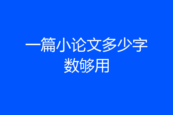 一篇小论文多少字数够用