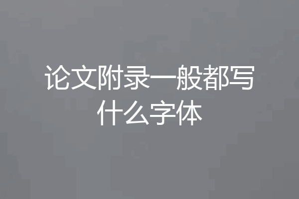 论文附录一般都写什么字体