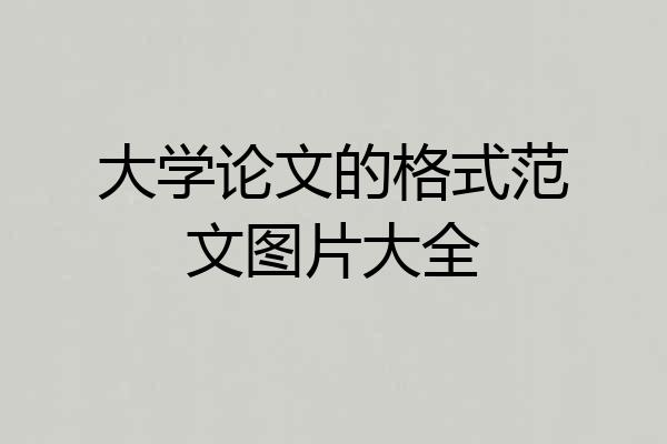 大学论文的格式范文图片大全