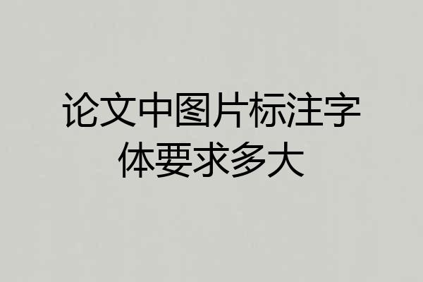 论文中图片标注字体要求多大