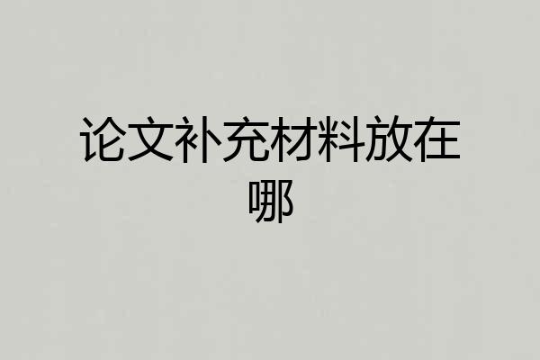 论文补充材料放在哪
