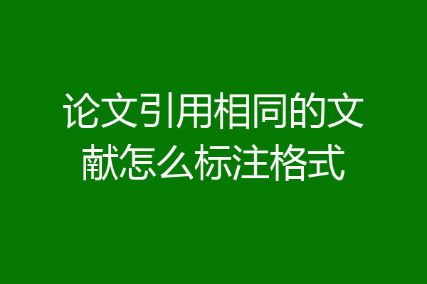 论文引用相同的文献怎么标注格式