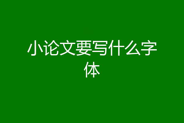 小论文要写什么字体