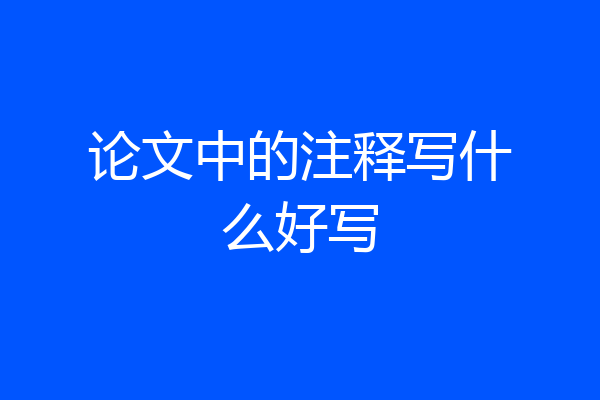 论文中的注释写什么好写