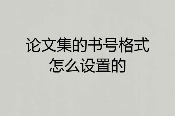 论文集的书号格式怎么设置的