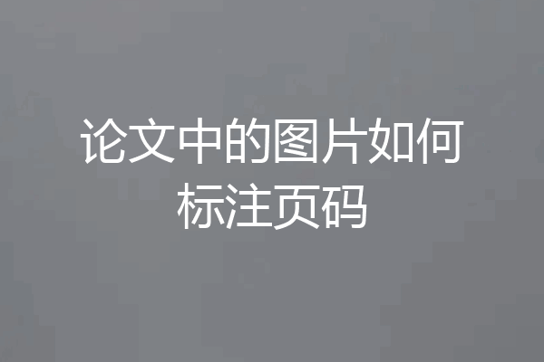 论文中的图片如何标注页码