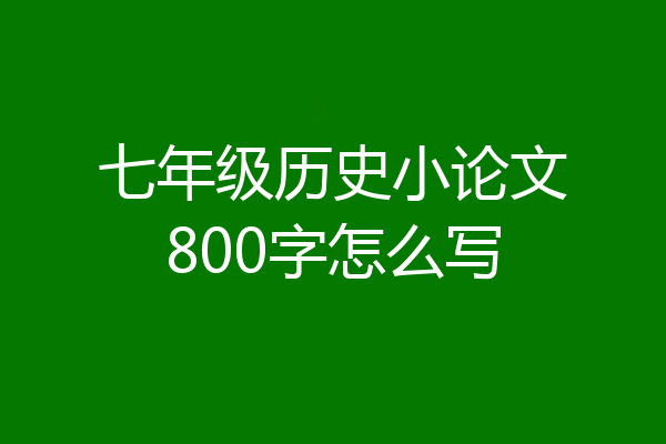 七年级历史小论文800字怎么写