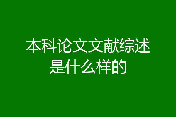 本科论文文献综述是什么样的