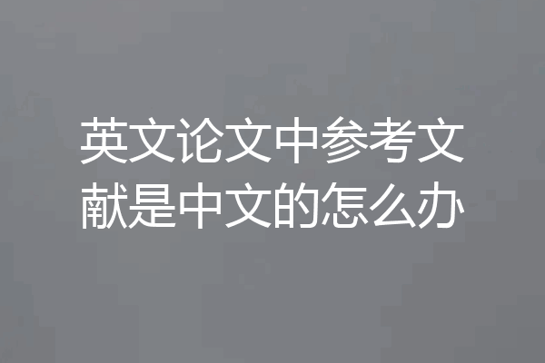 英文论文中参考文献是中文的怎么办