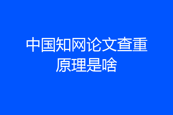 中国知网论文查重原理是啥
