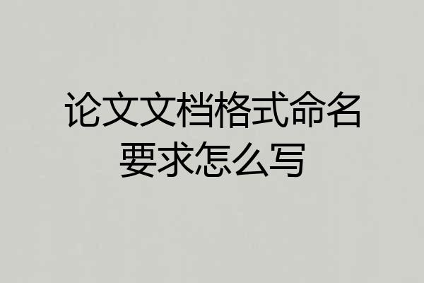 论文文档格式命名要求怎么写