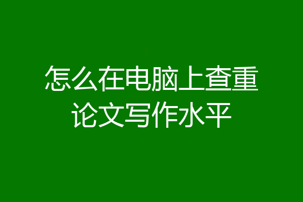 怎么在电脑上查重论文写作水平