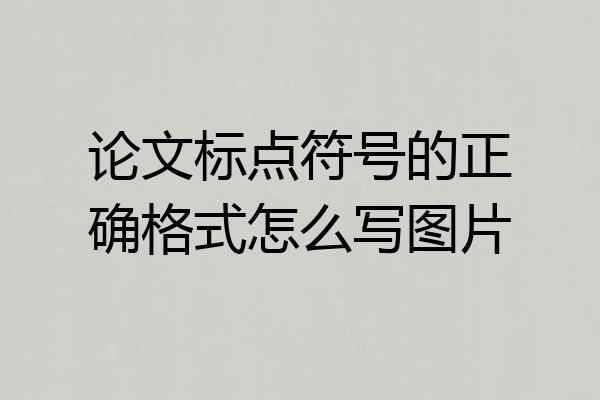 论文标点符号的正确格式怎么写图片